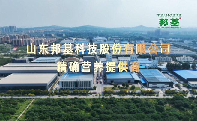 山东永利集团科技股份有限公司官方网站