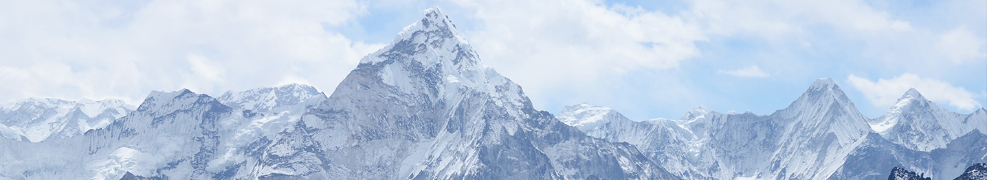 山东永利集团科技股份有限公司官方网站