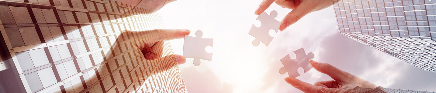 山东永利集团科技股份有限公司官方网站